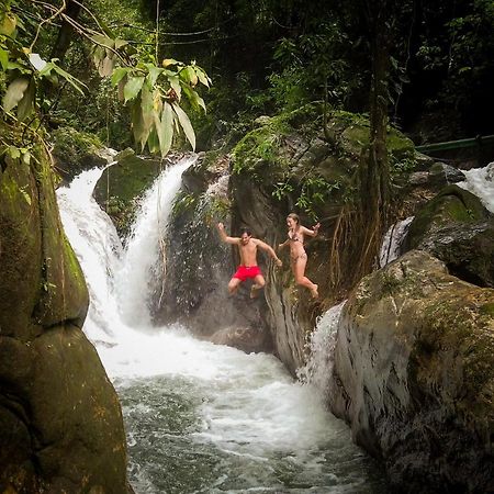 Eco Cabin - Tanoa Minca Hotel ภายนอก รูปภาพ