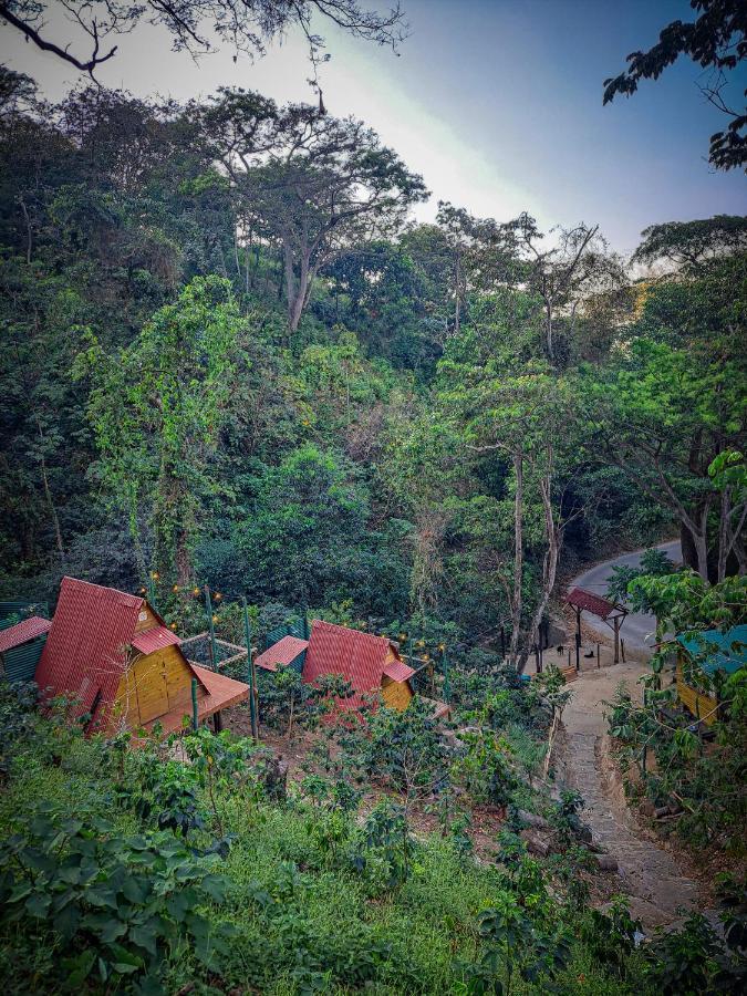 Eco Cabin - Tanoa Minca Hotel ภายนอก รูปภาพ